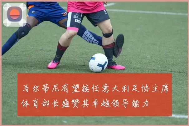 马尔蒂尼有望接任意大利足协主席体育部长盛赞其卓越领导能力